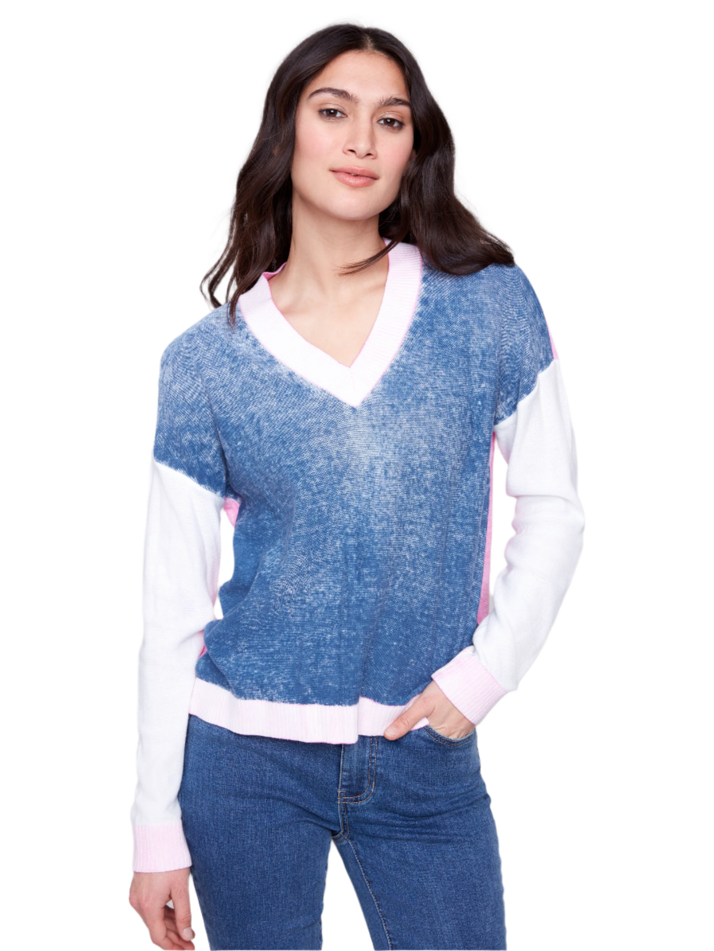 Color Block V-Neck Sweater Charlie B