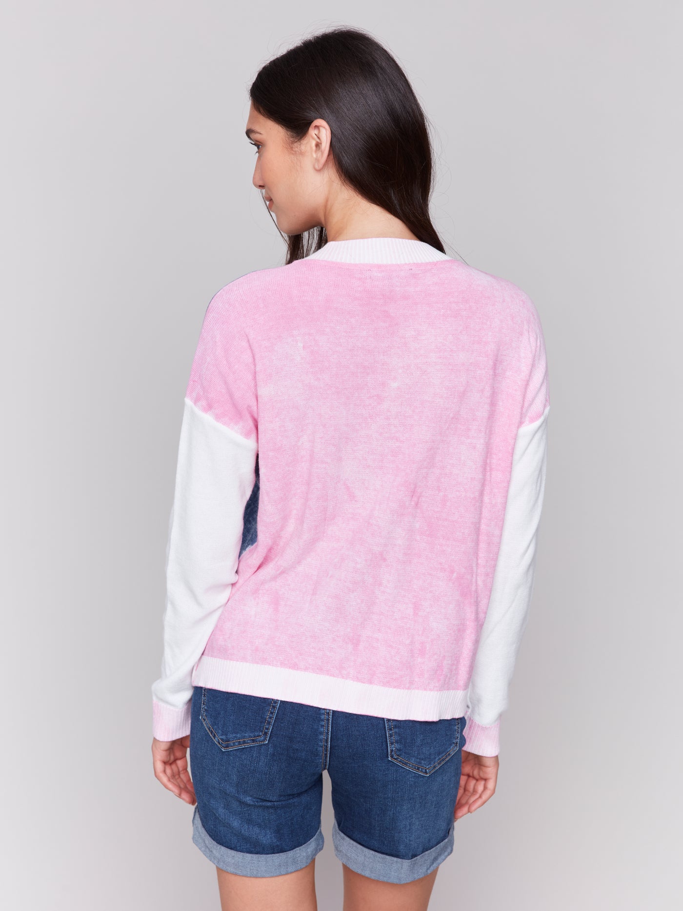 Color Block V-Neck Sweater Charlie B